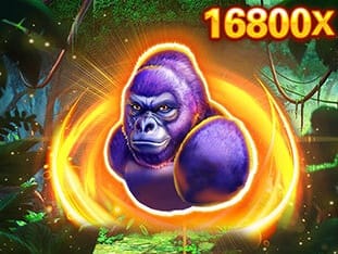 Kong screenshot